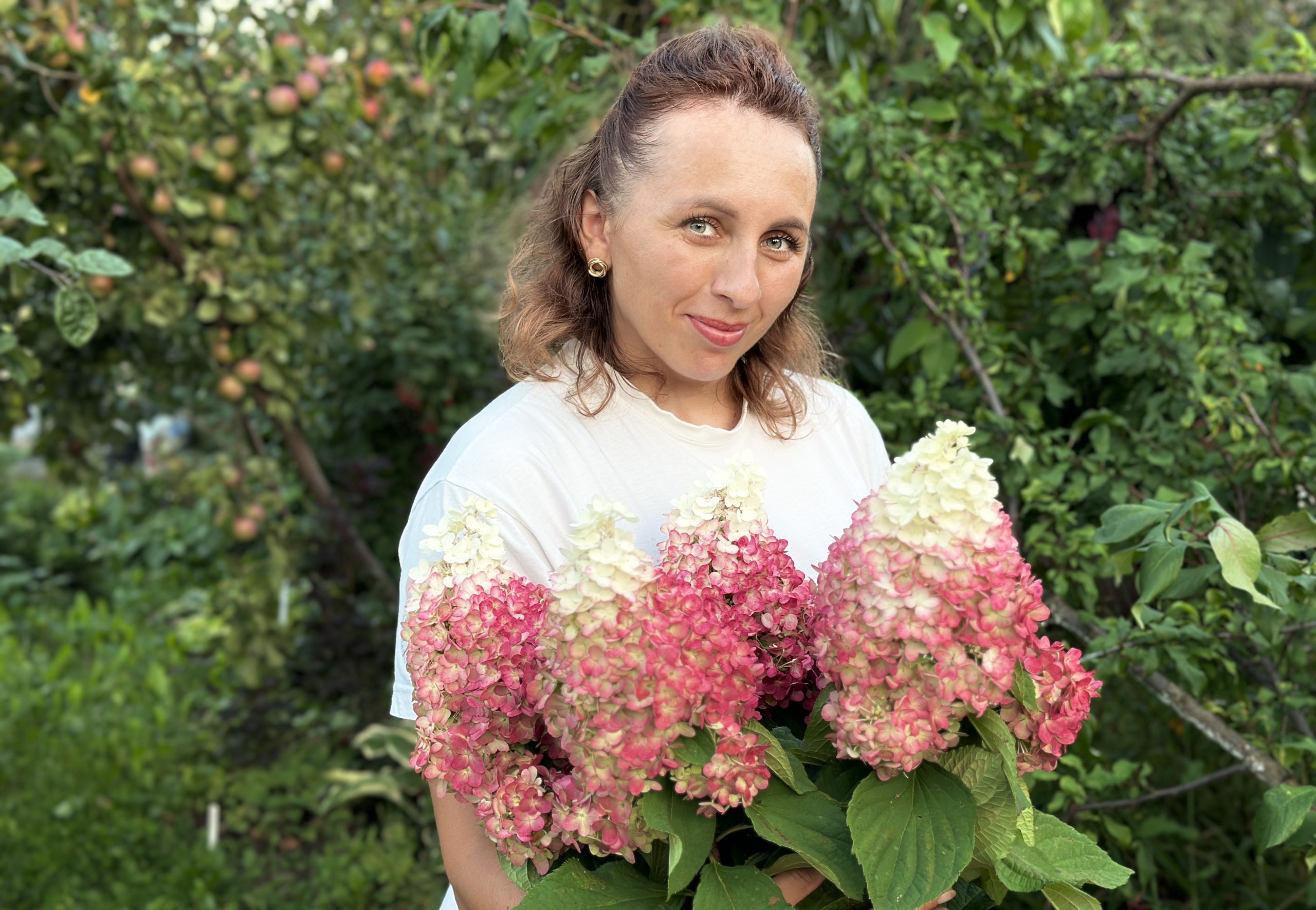 Советы по высадке метельчатых гортензий на участке от цветовода