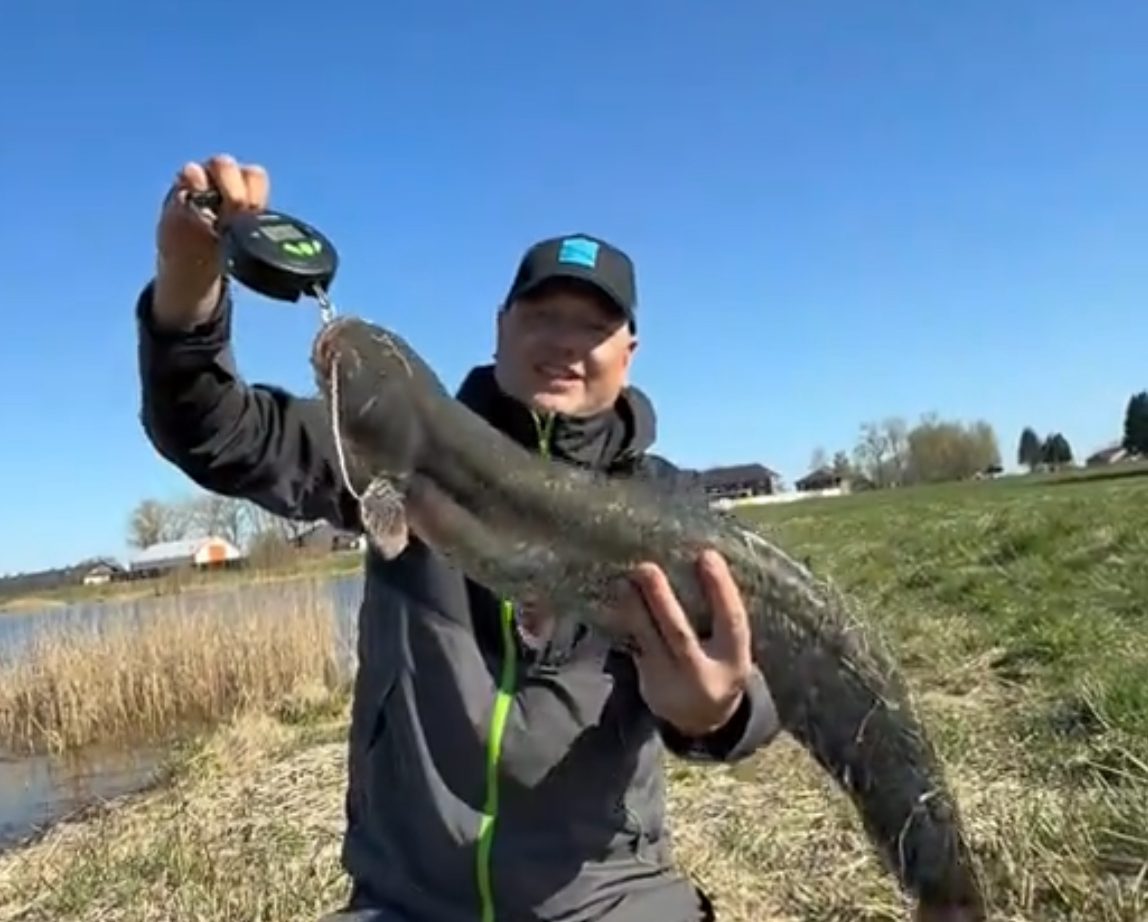 Сома на 73 сантиметра поймал рыбак под Молодечно