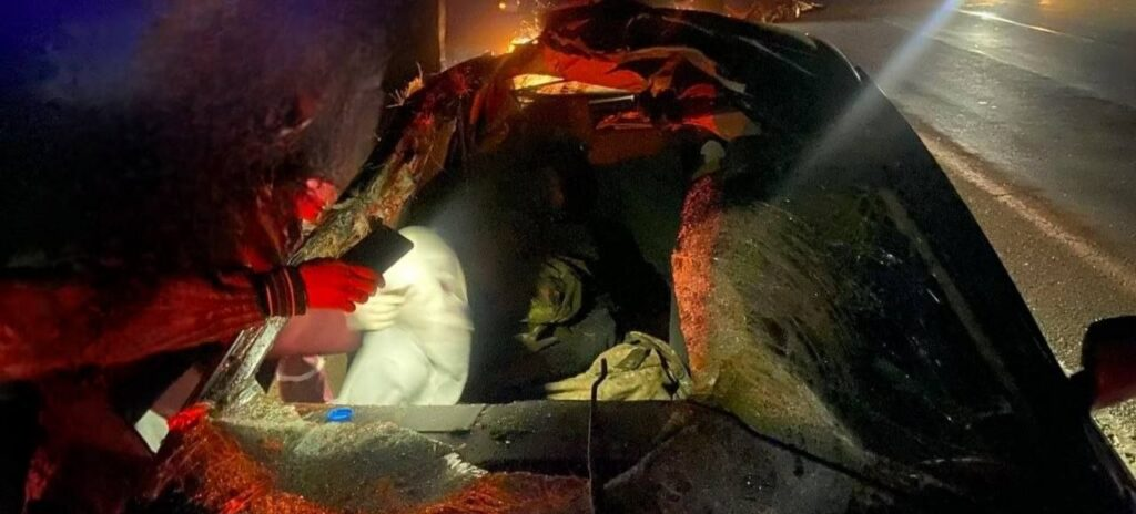 Пассажир Audi попал в реанимацию после столкновения автомобиля с лосем