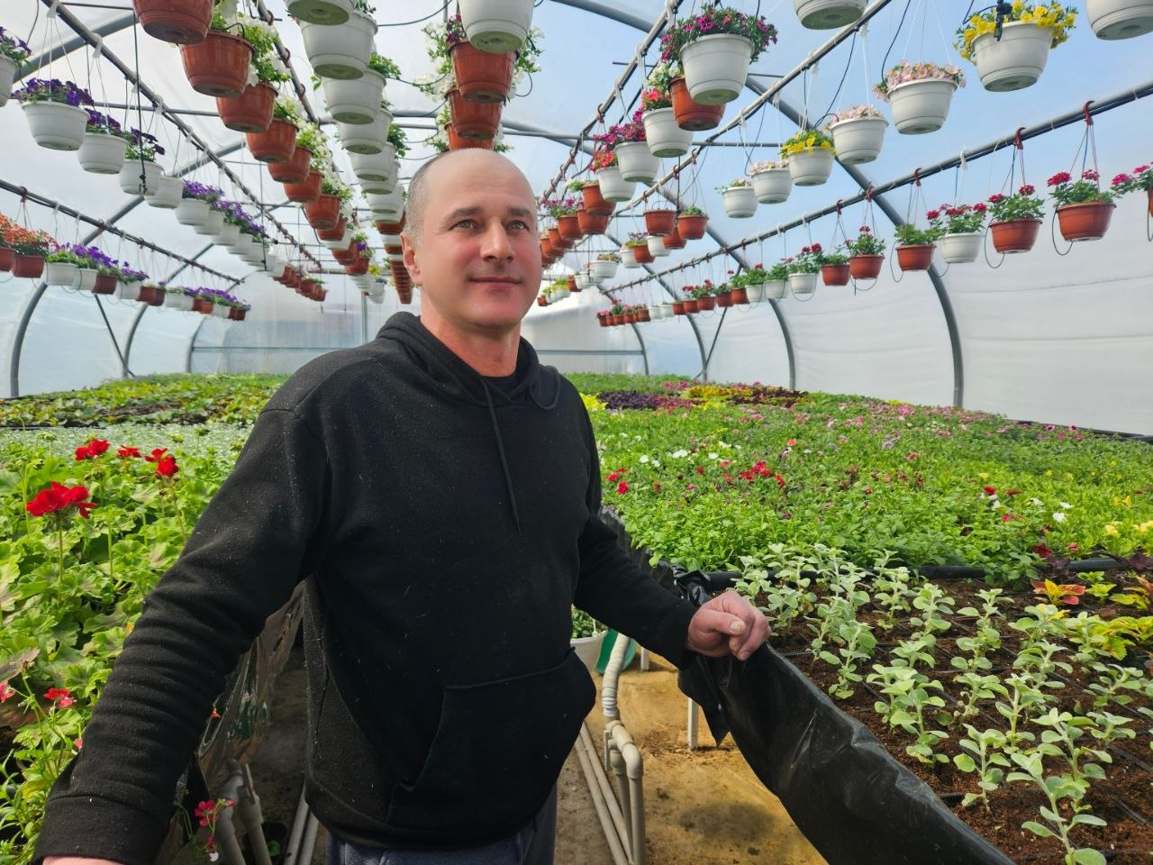 В деревне недалеко от Молодечно есть место, которое составит конкуренцию тюльпановым полям