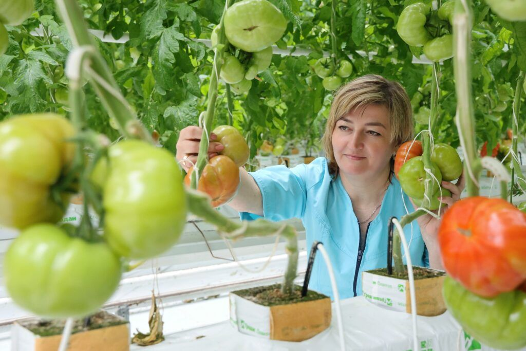 Ольга Хорошко спасает урожай в теплицах, растит троих детей и лепит фигурки из гипса