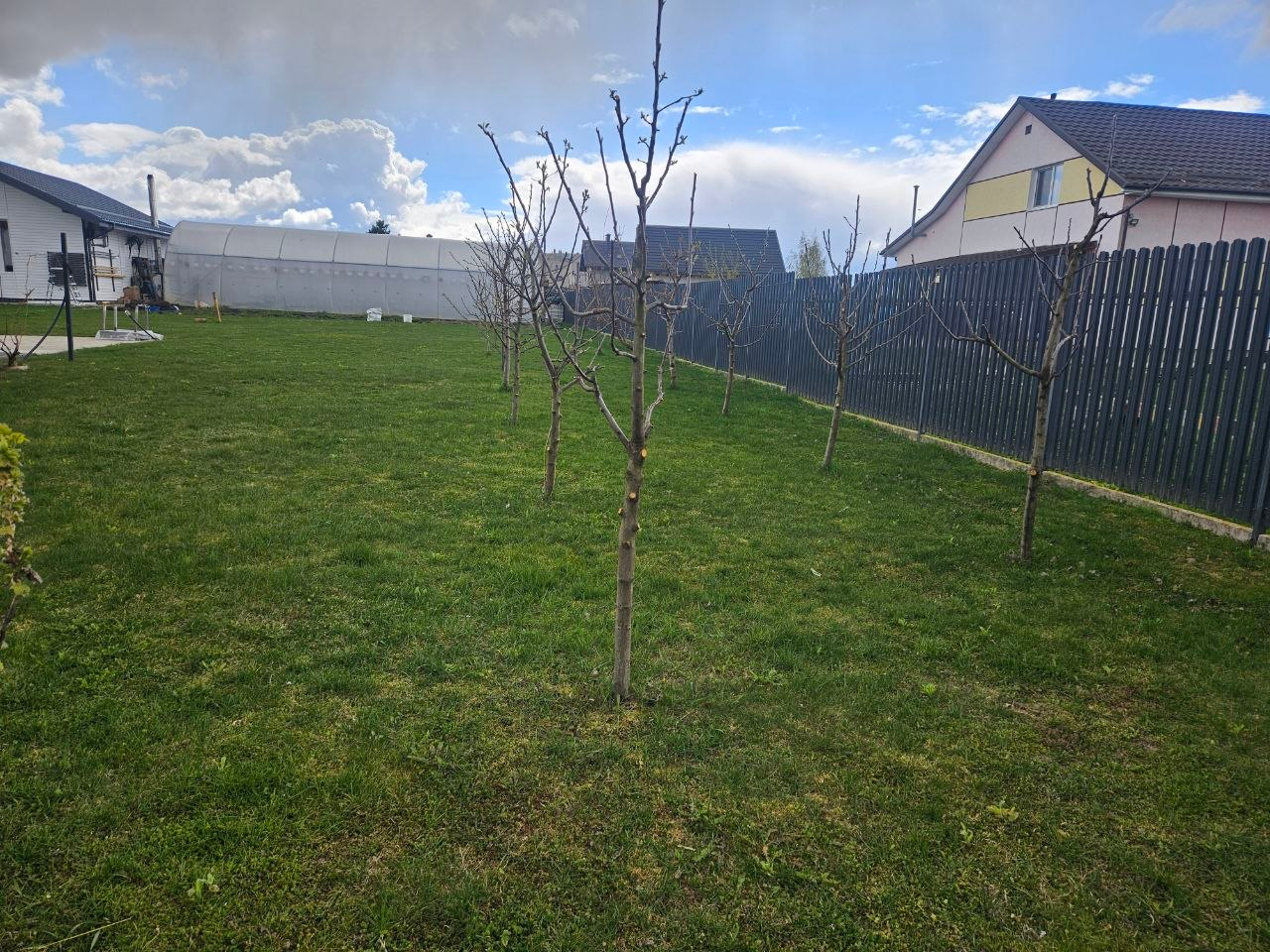 Александр из деревни Носилово с кротами борется двумя способами