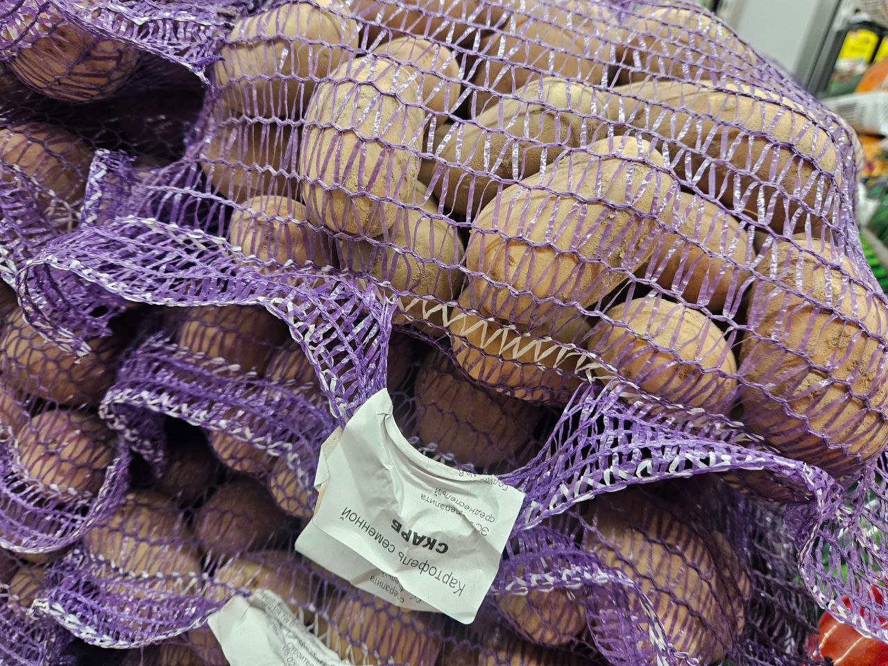 Определены объёмы заготовки плодоовощной продукции для стабфондов