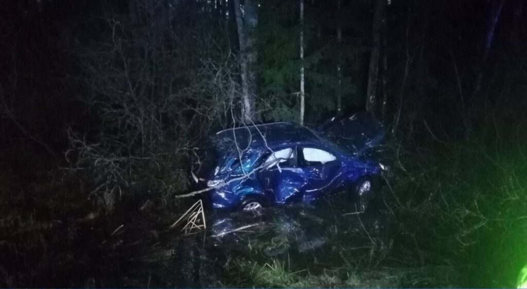 Автомобиль съехал в кювет и опрокинулся — пострадали женщина и двое малолетних детей