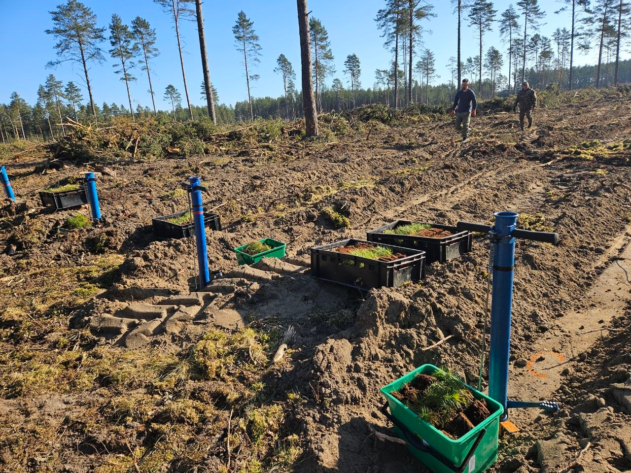 Нашли варианты подработки в Молодечненском районе
