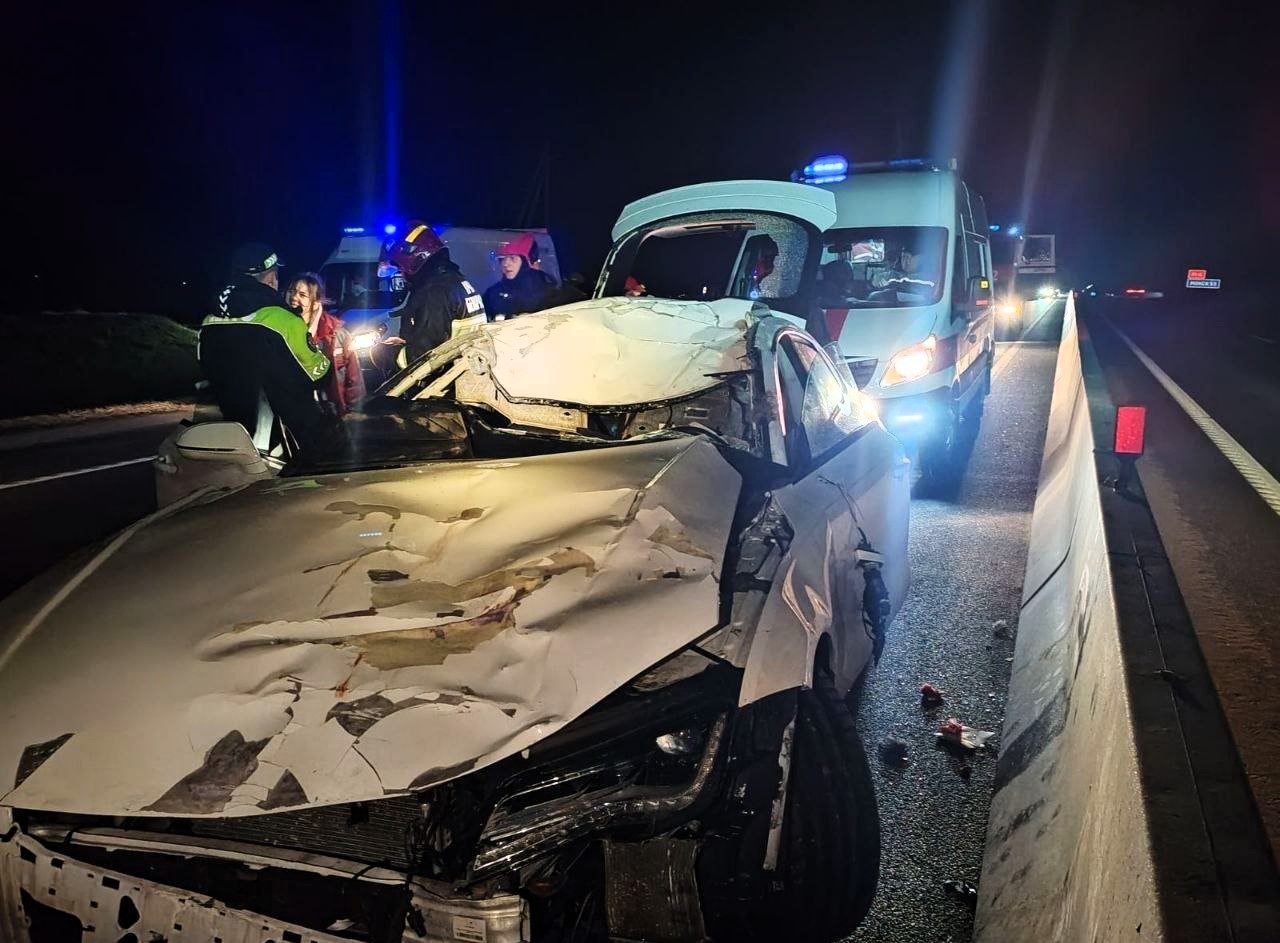 Спасатели под Воложином после ДТП с лосем доставали двоих из машины