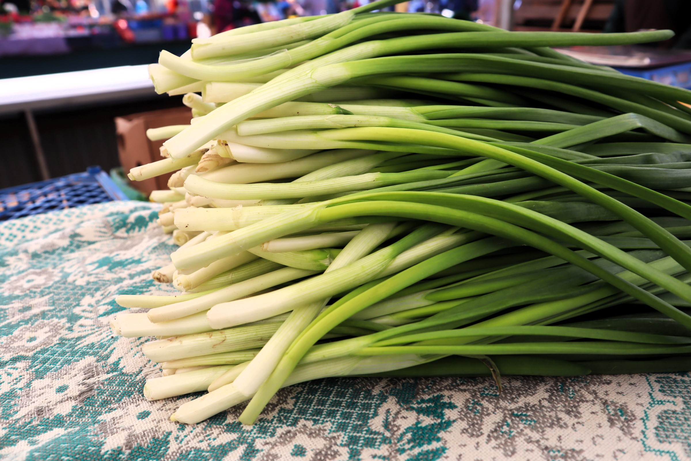 Зелёный лук в Молодечно на рынке в два раза дешевле, чем в супермаркете. Мастер-класс: как его вырастить