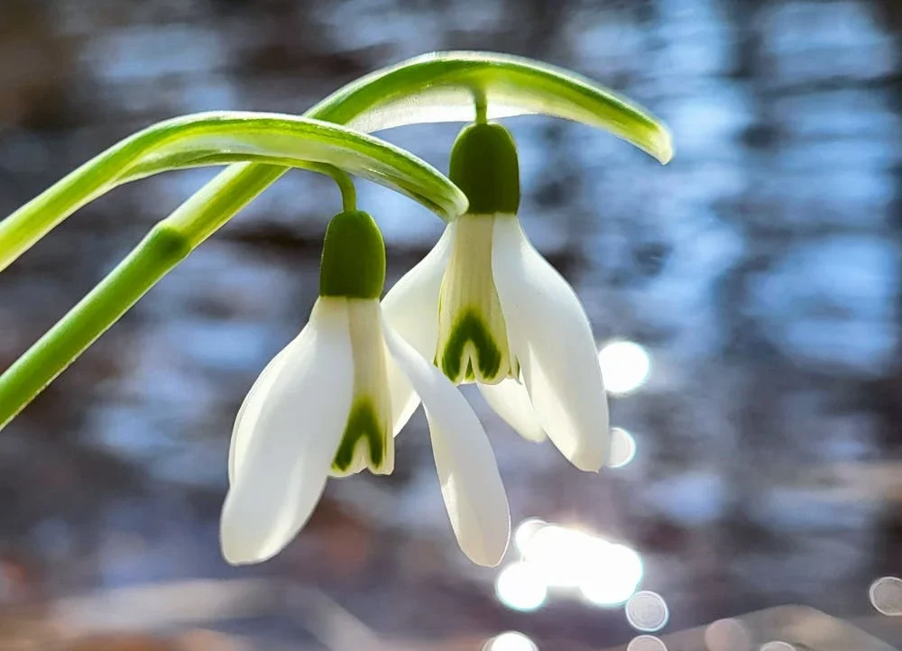 До +20°С и ночные заморозки. Какой будет погода в конце недели