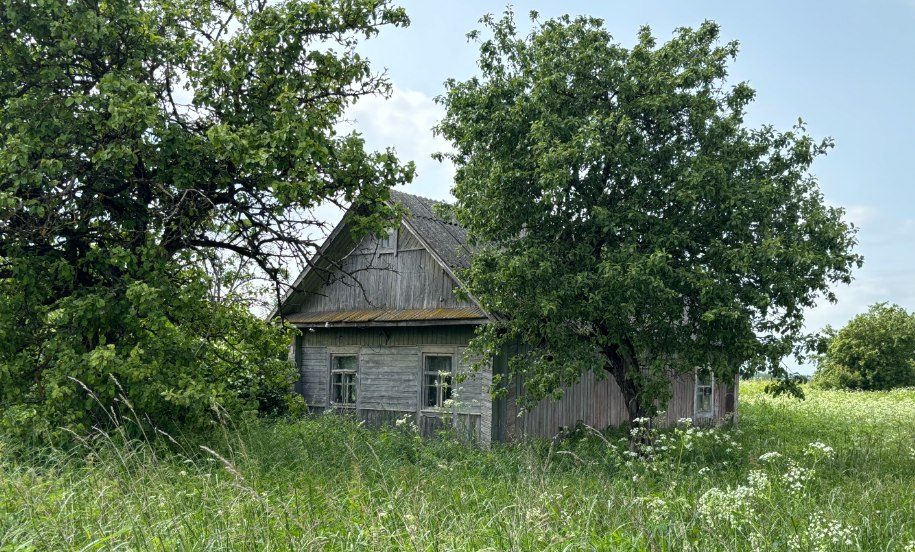 Дом за 45 рублей можно купить в Молодечненском районе