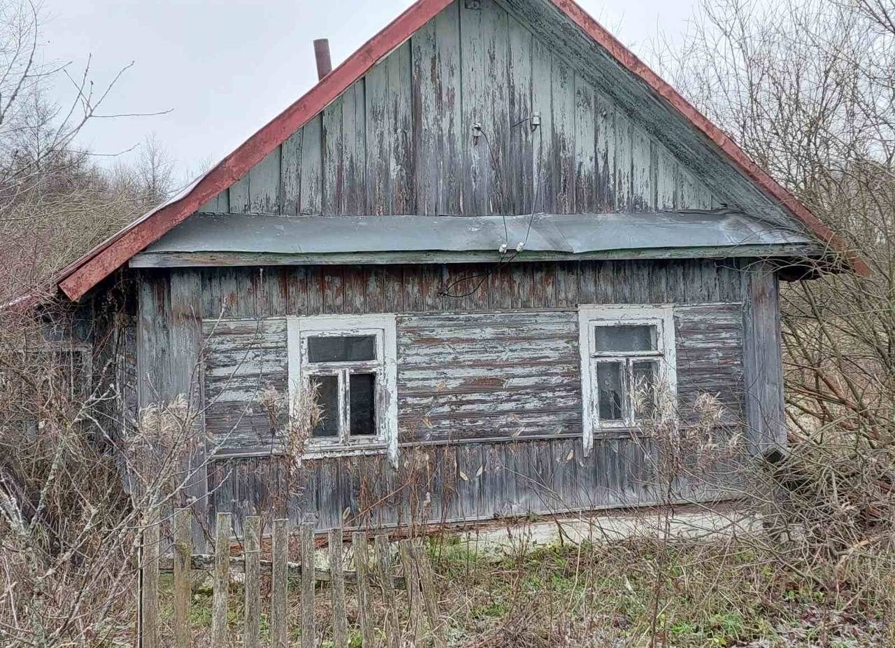 Дом за 45 рублей можно купить в Воложинском районе
