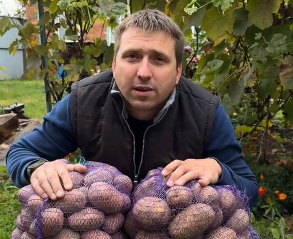 Сажать картошку нужно по народной примете. На что обратить внимание?