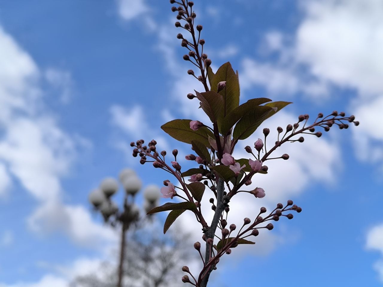Когда станет по-весеннему тепло, рассказали синоптики