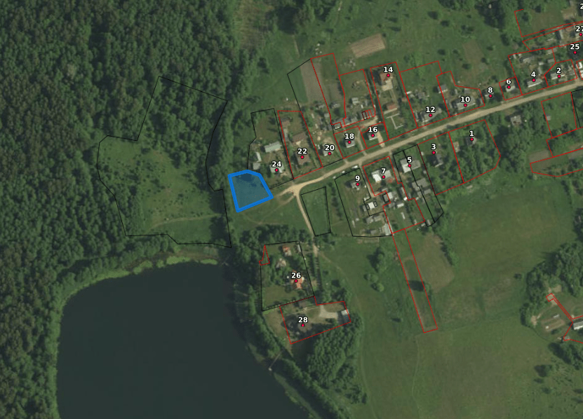 Участок у озера в Мядельском районе продали на аукционе