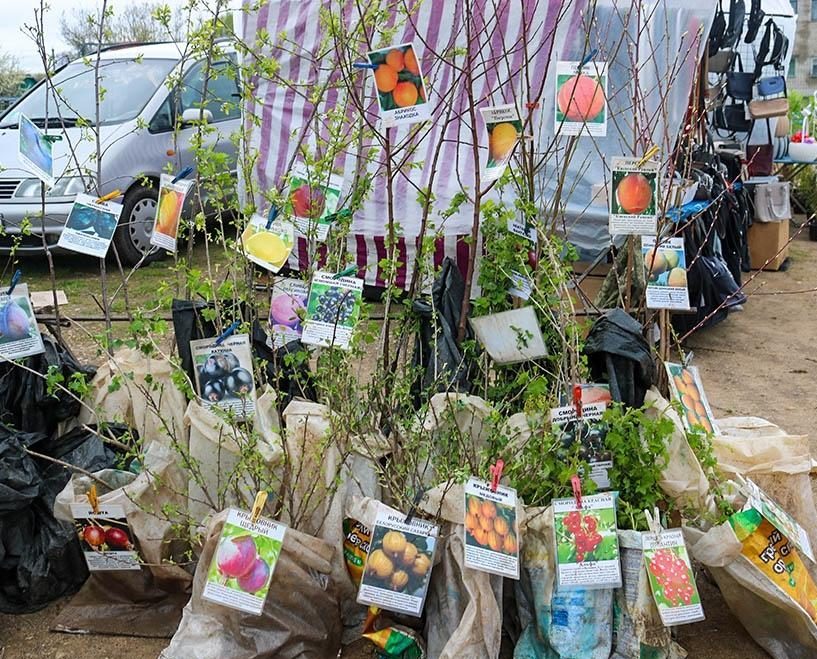 Когда в Поставском районе пройдут сельскохозяйственные ярмарки
