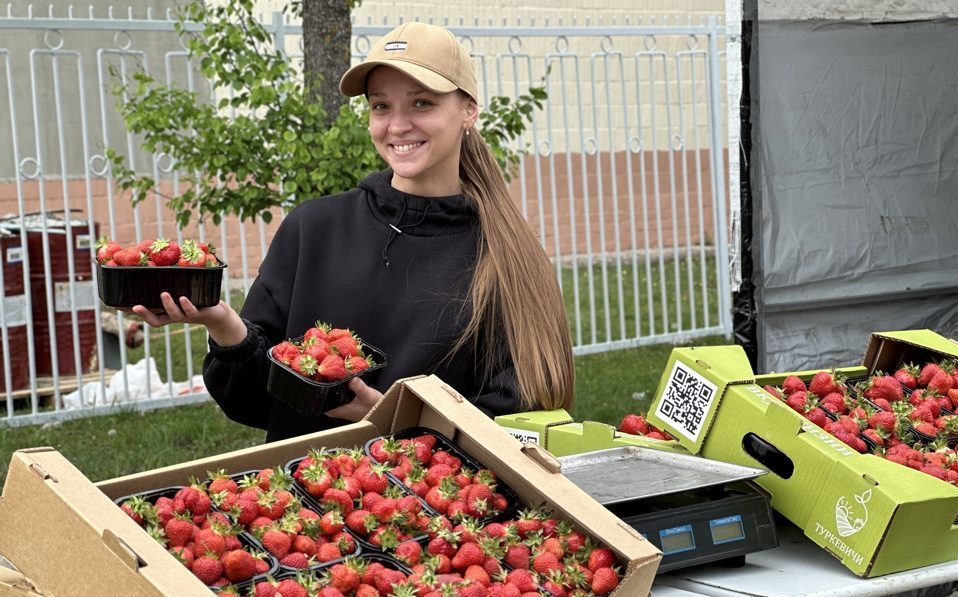 Раньше брестской начали продавать вилейскую клубнику. Посмотрели цены и узнали вкус местной ягоды