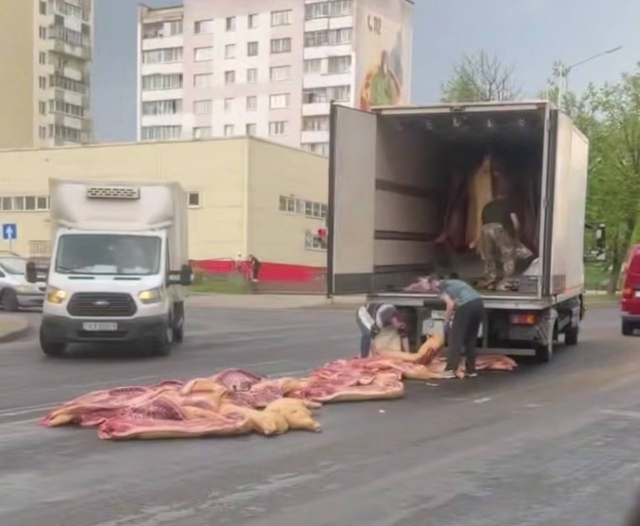 В Молодечно на центральной улице из грузовика выпали свиные туши