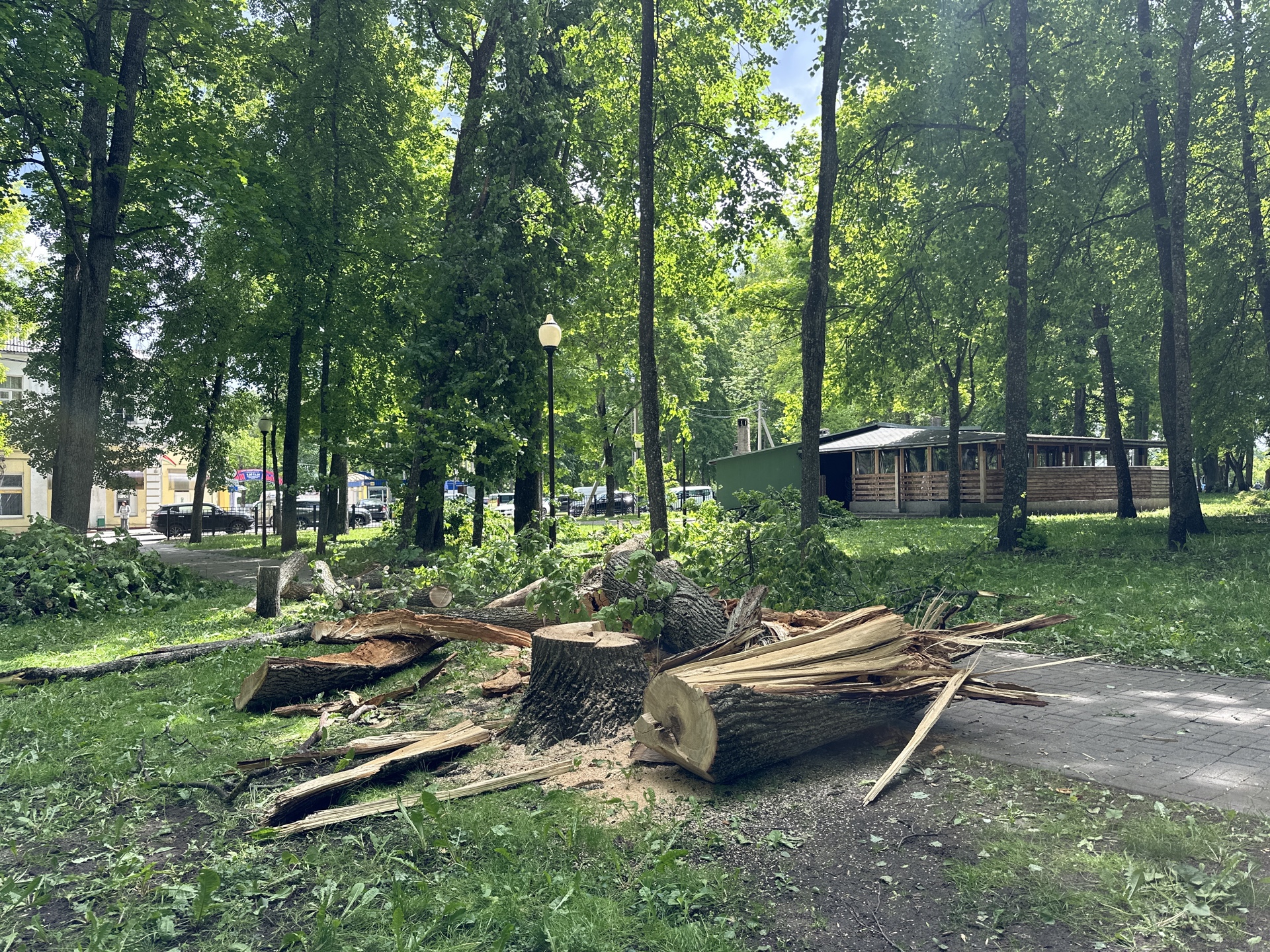 Ветер повалил деревья в Вилейке