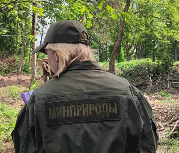 В Минском районе погибла колония серых цапель