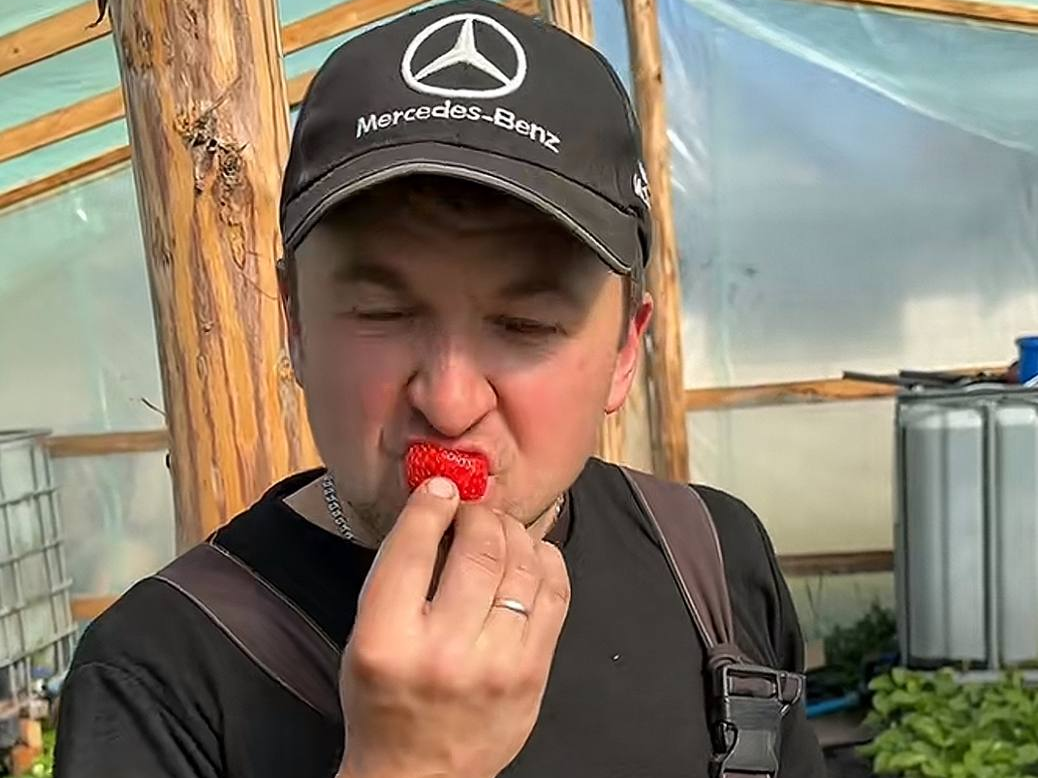 В теплицах Берёзовского района созрела первая клубника