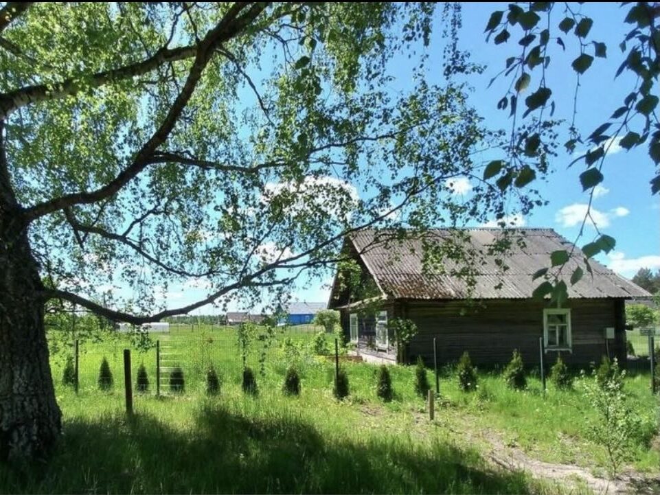 В Налибокской пуще продают дом с участком за 14 тысяч долларов