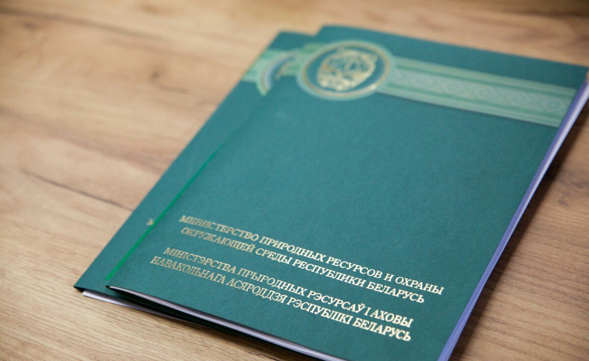 Какие задачи поставлены  перед новым главой Минприроды