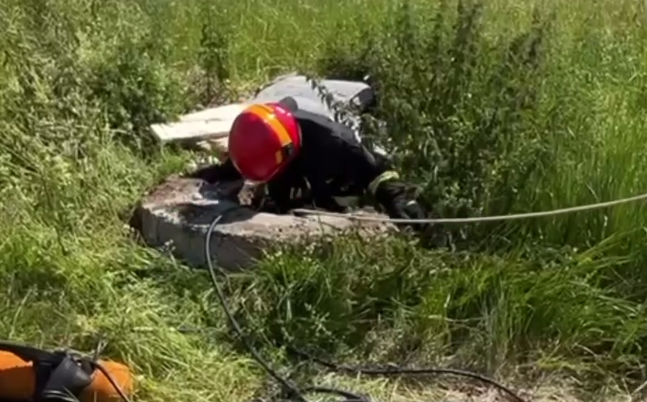 В Заславле спасти козлёнка помогли сотрудники МЧС