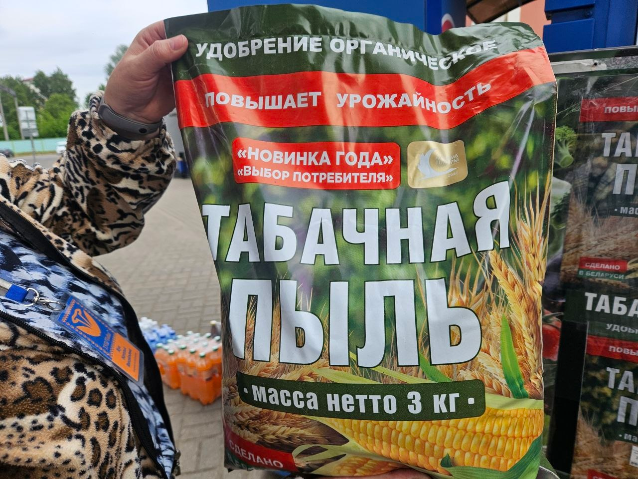 Нашли в Молодечно табачную пыль, которая уничтожит слизней, муравьёв и тлю на огороде