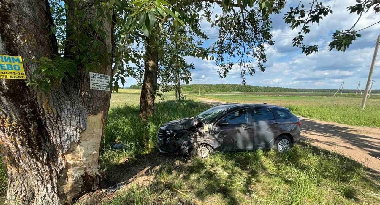 В Молодечненском районе пенсионер врезался на машине в дерево