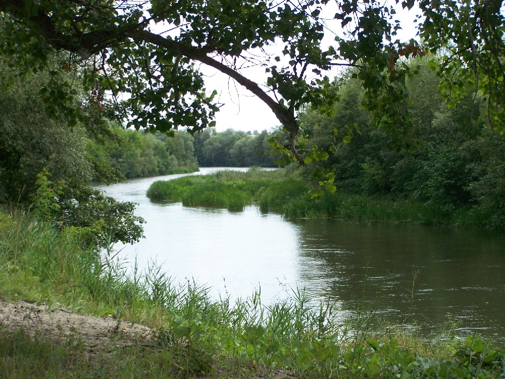 Тело мужчины обнаружили в водоёме в Логойском районе