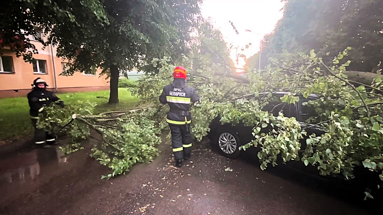 Спасатели в Молодечно убирали упавшее на машину дерево