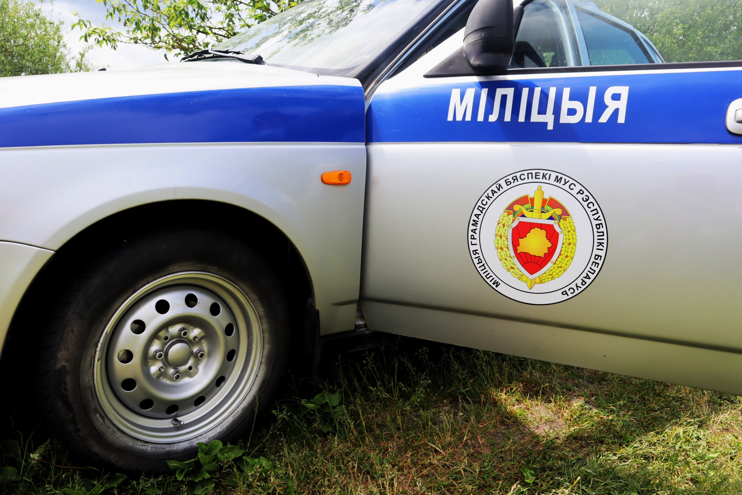 Милиционеры нашли мужчину в воложинском лесу