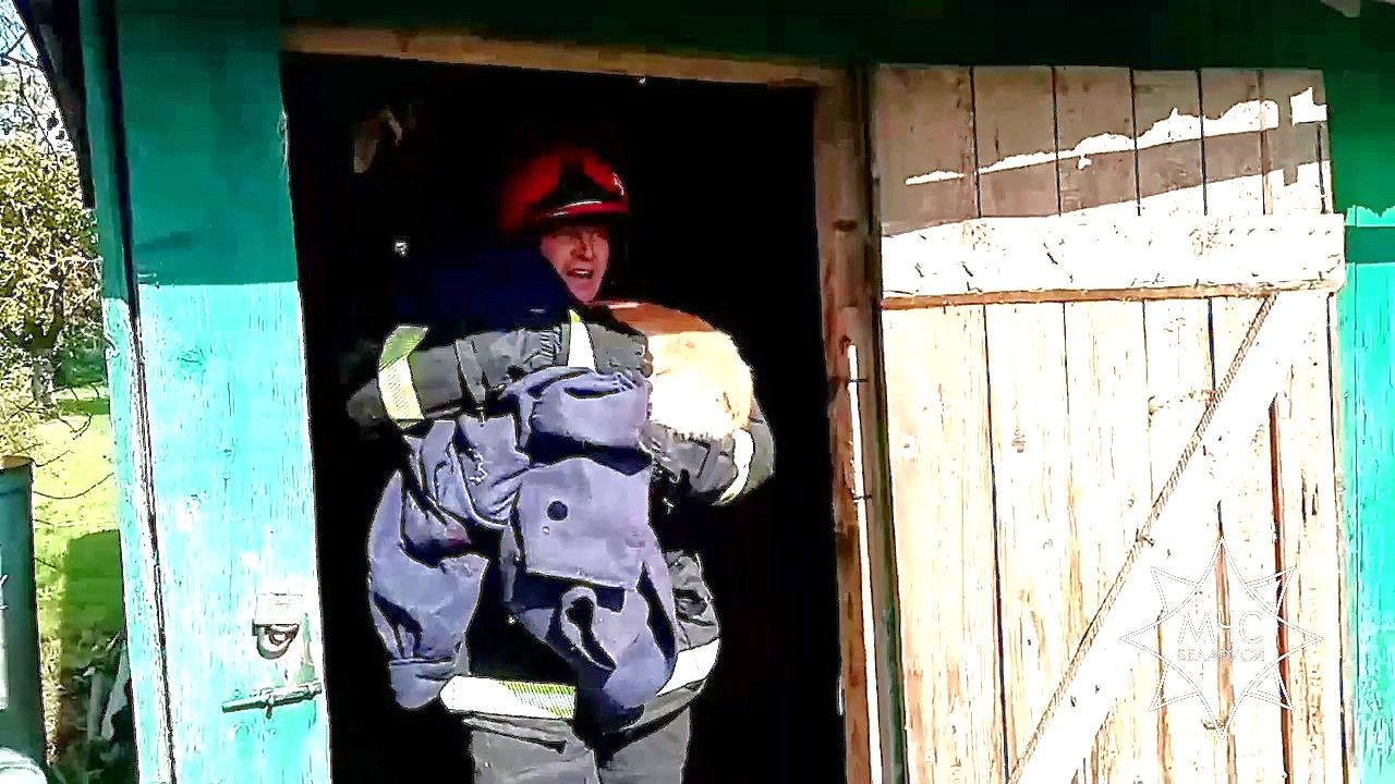 Собаку достали из погреба логойские спасатели