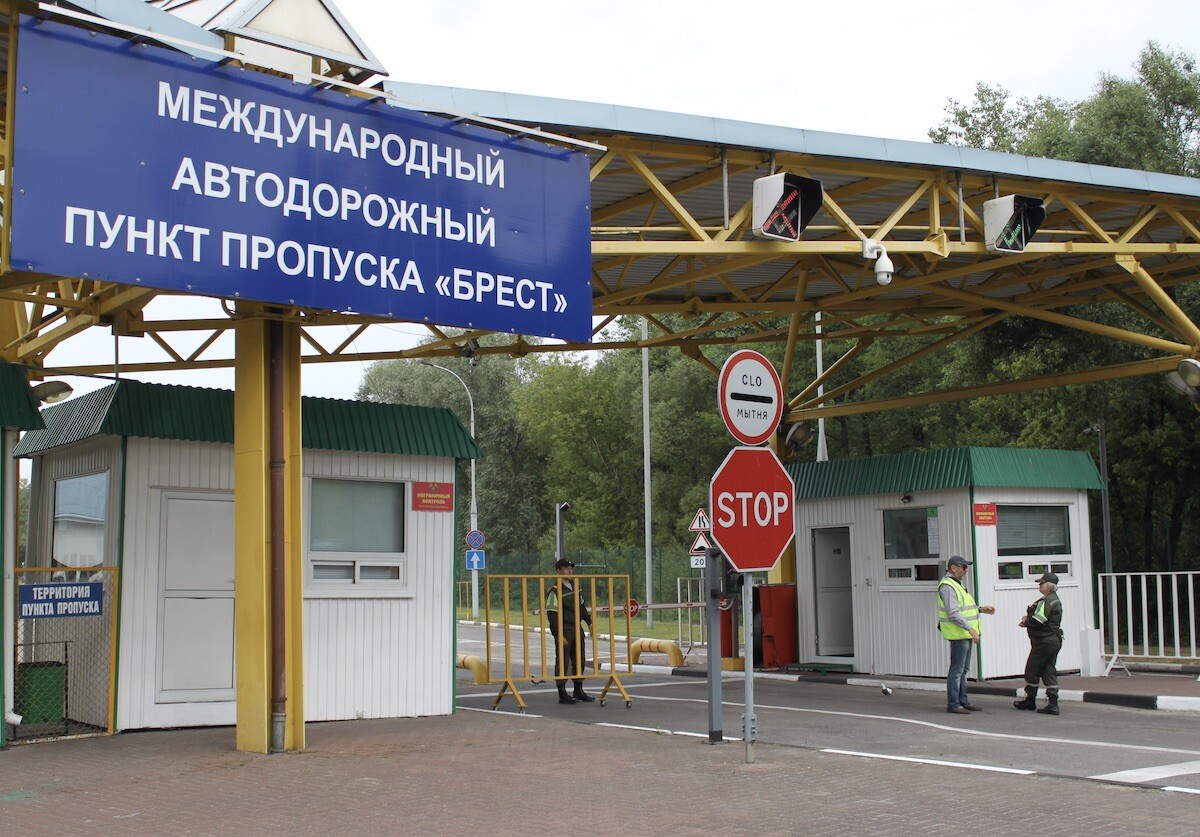 5 экзотических ящериц изъяли на границе в Бресте. Их передали Минскому зоопарку