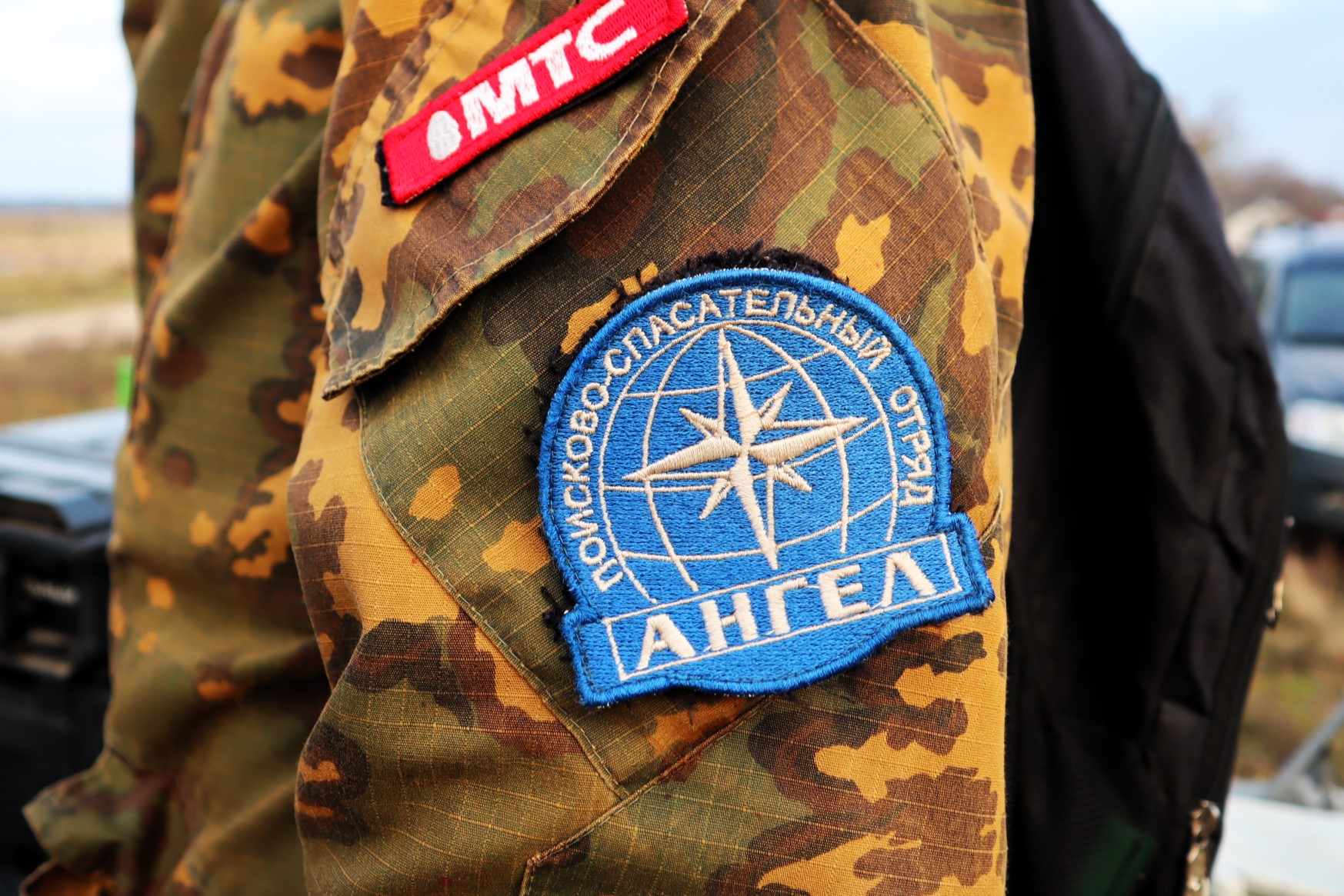 Пенсионерку не нашли в поставских лесах по горячим следам и теперь ищут основательно