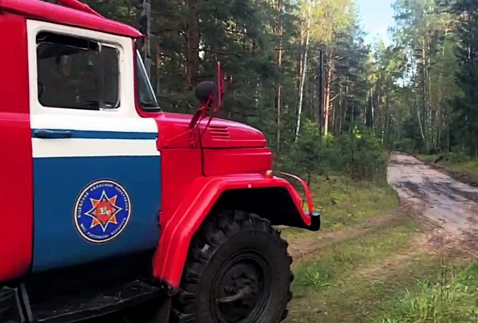 13-летнего подростка и двух женщин нашли в лесу Браславского района