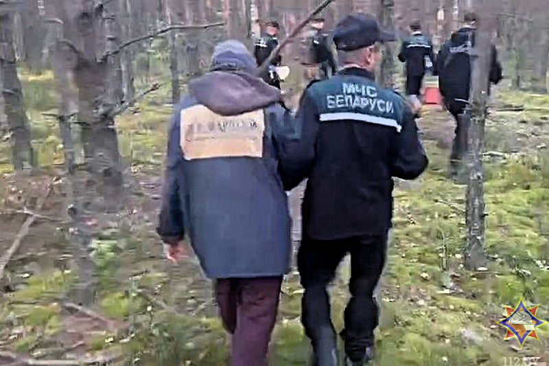 В лесу Докшицкого района спасатели нашли 79-летнюю женщину