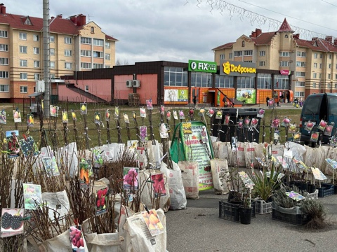 Узнали, когда и где пройдут осенние сельскохозяйственные ярмарки в Вилейке