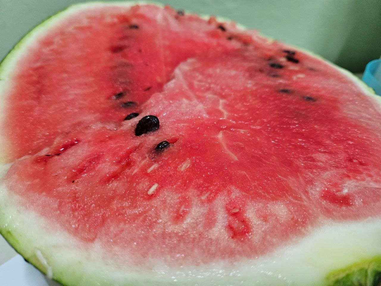 Нашли в магазинах Молодечно самый вкусный арбуз осени по выгодной цене