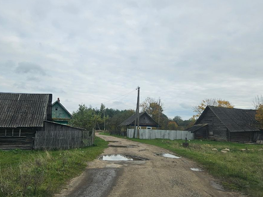 Житель Молодечно просит отремонтировать дорогу в деревне Витковщина