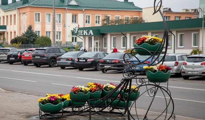 Сморгонь украсят около 2 тысяч хризантем